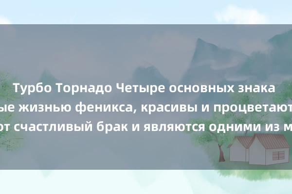 Турбо Торнадо Четыре основных знака зодиака, рожденные жизнью феникса, красивы и процветают, имеют счастливый брак и являются одними из миллиона хороших женщин.